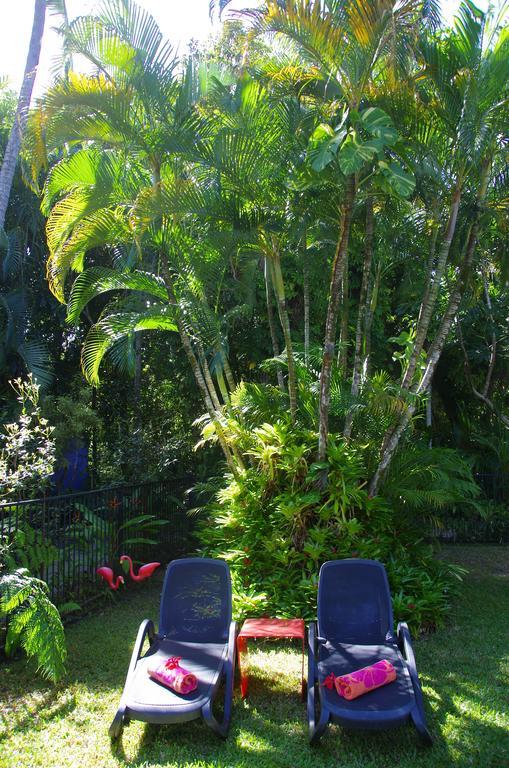 Pink Flamingo Resort Port Douglas Eksteriør bilde
