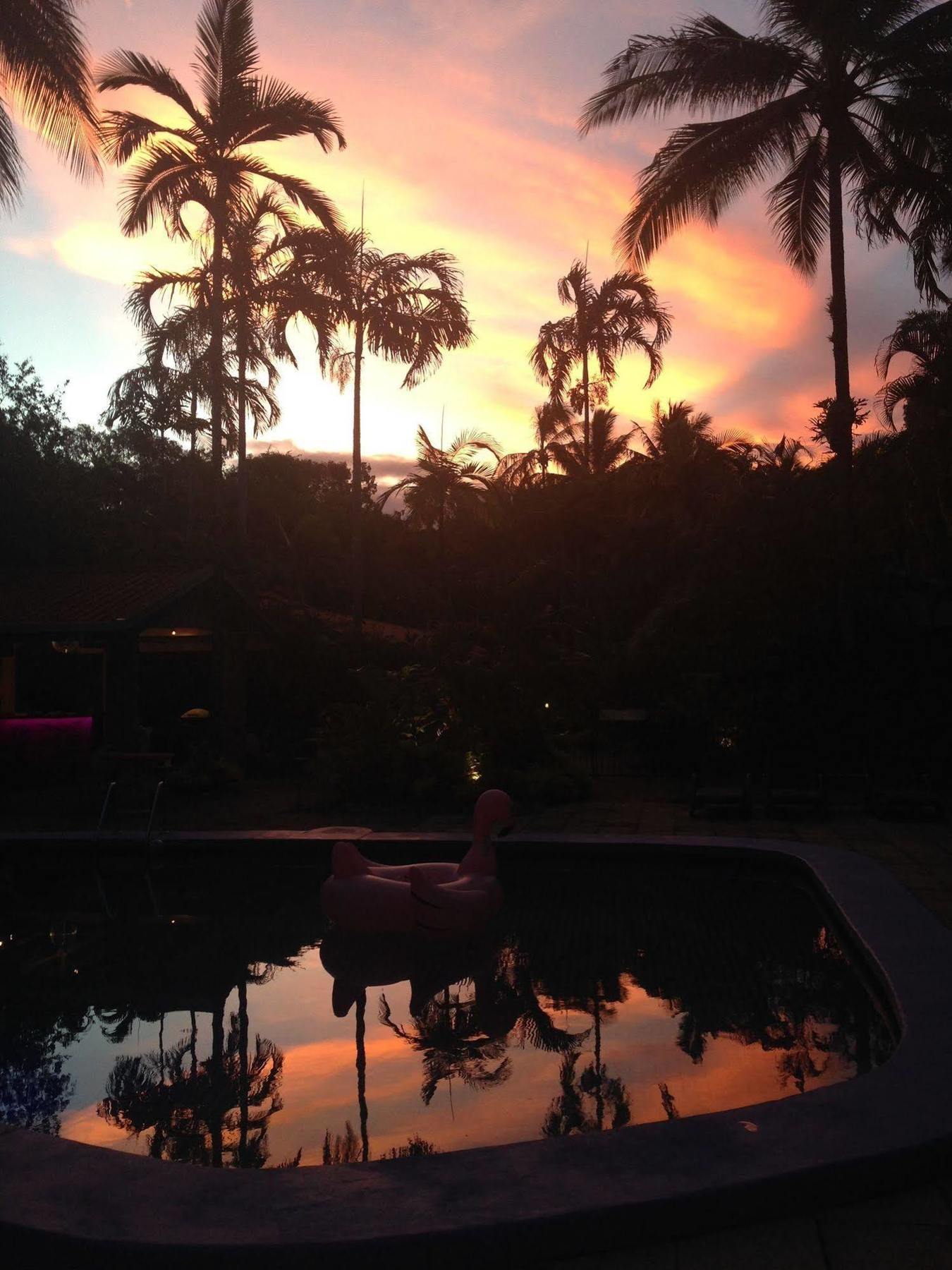 Pink Flamingo Resort Port Douglas Eksteriør bilde