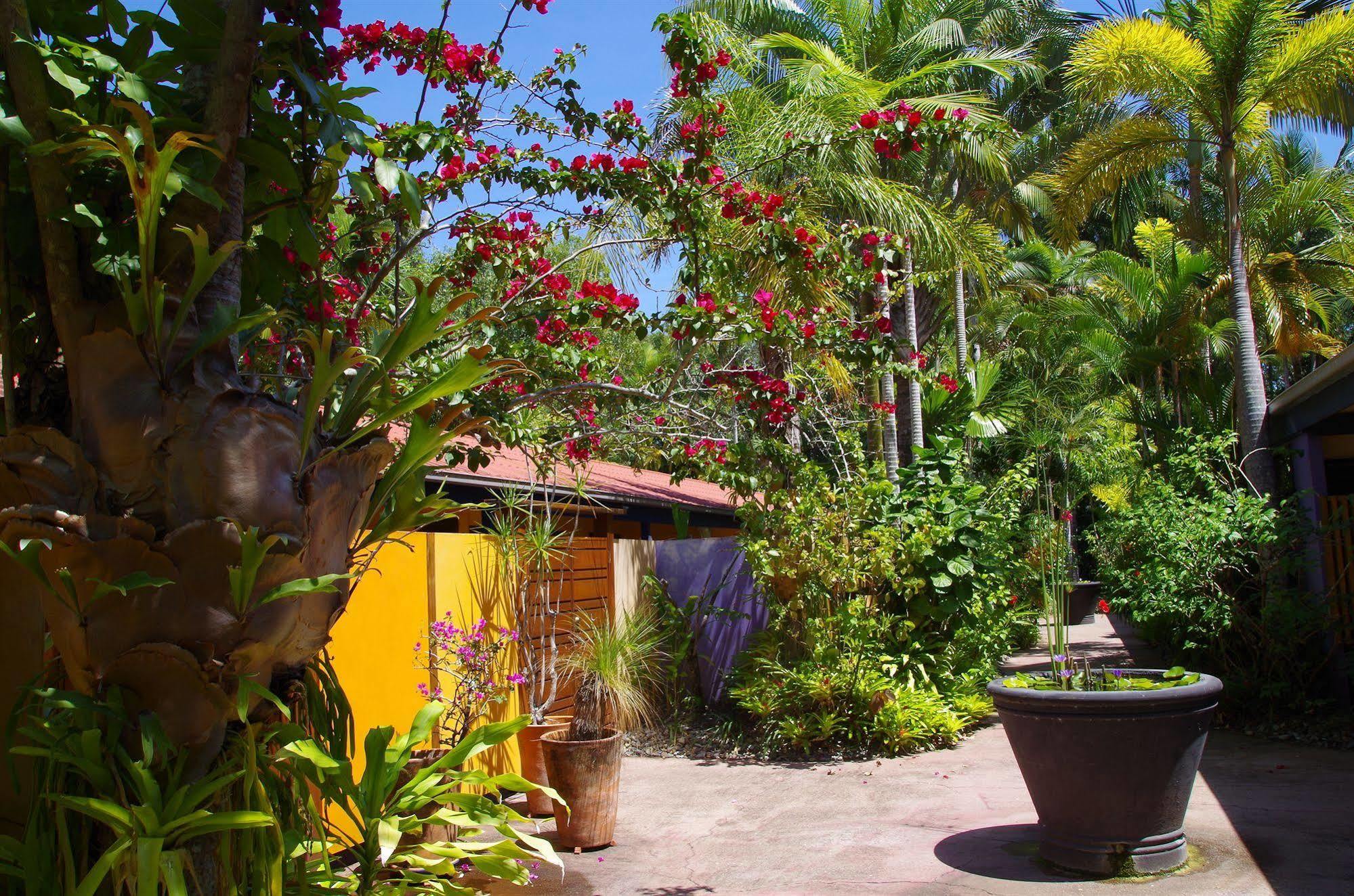 Pink Flamingo Resort Port Douglas Eksteriør bilde
