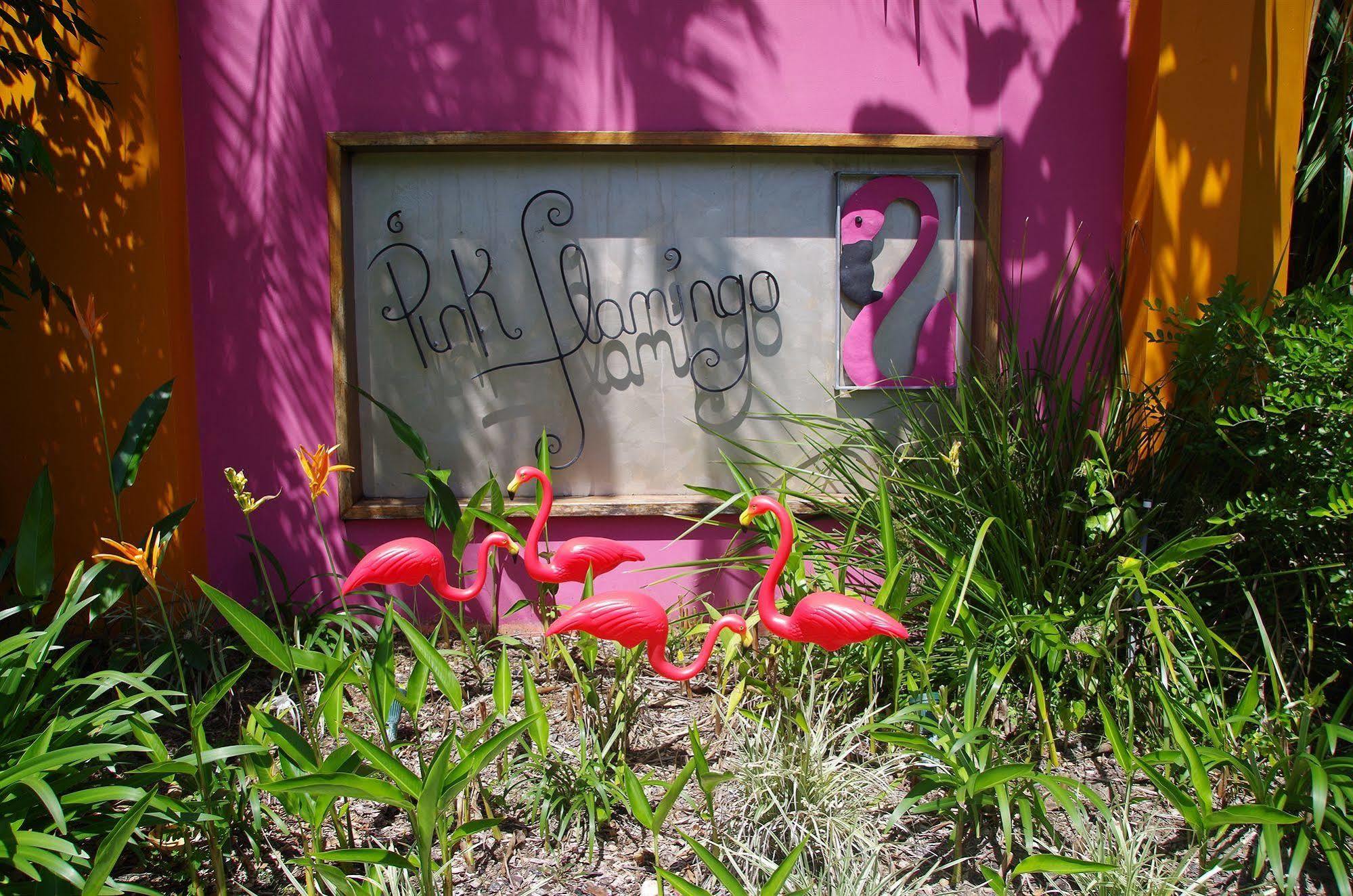 Pink Flamingo Resort Port Douglas Eksteriør bilde